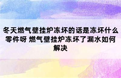 冬天燃气壁挂炉冻坏的话是冻坏什么零件呀 燃气壁挂炉冻坏了漏水如何解决